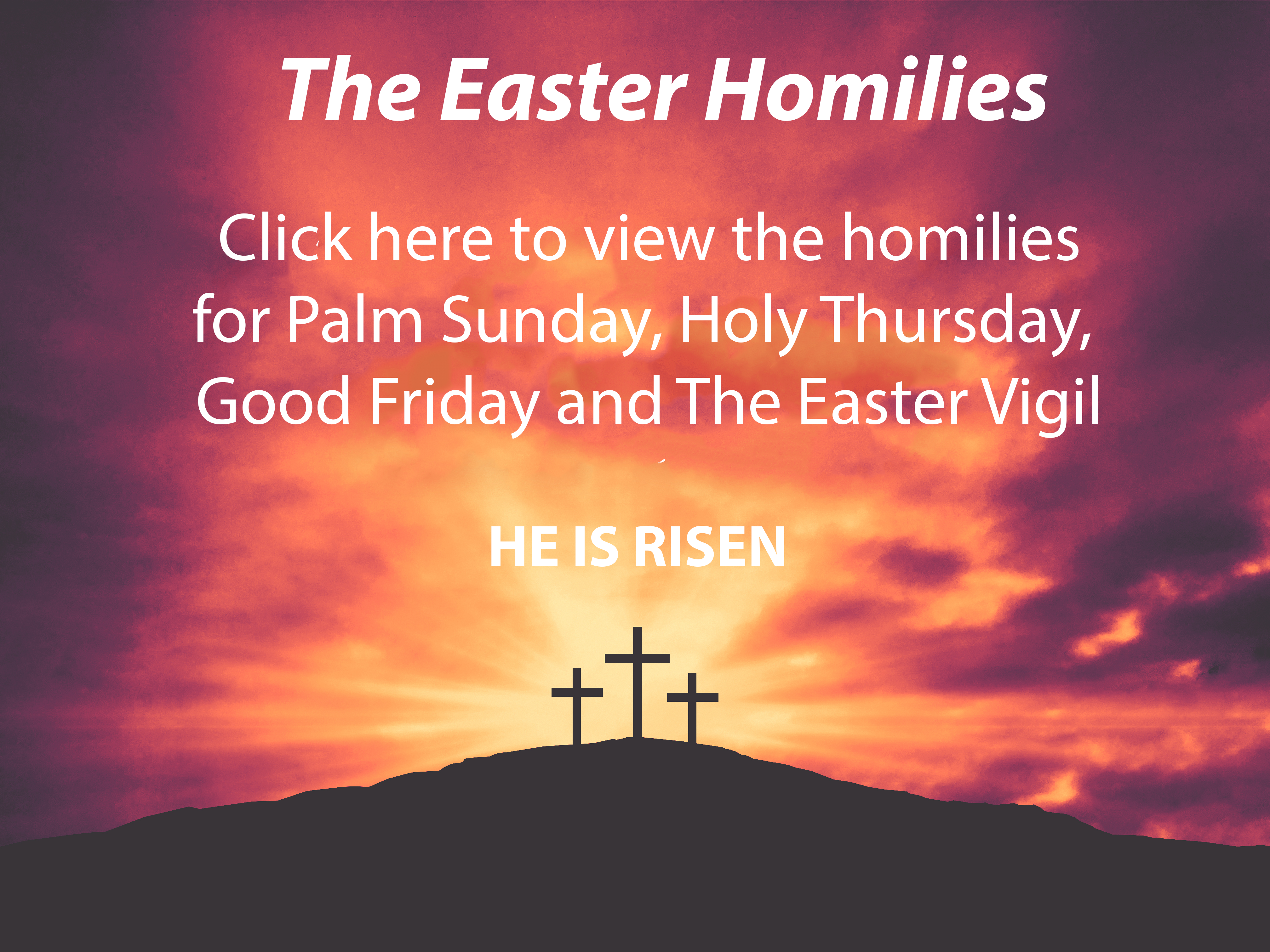Click for videos of Easter homilies